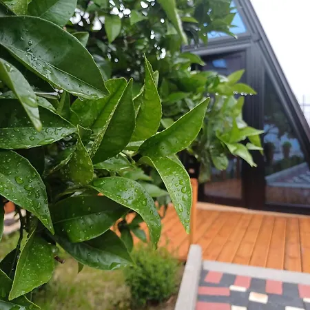 Adilaj Holiday home *