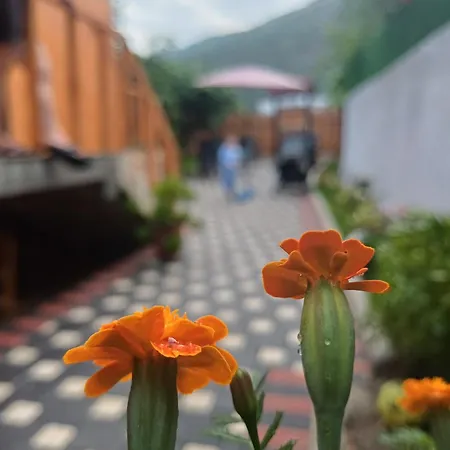 Adilaj Сasa de vacaciones