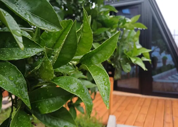 Adilaj Dom wakacyjny *