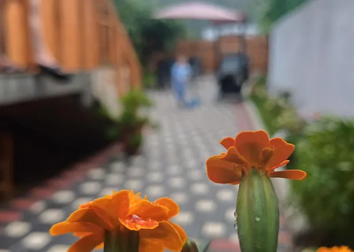 Adilaj Сasa de vacaciones