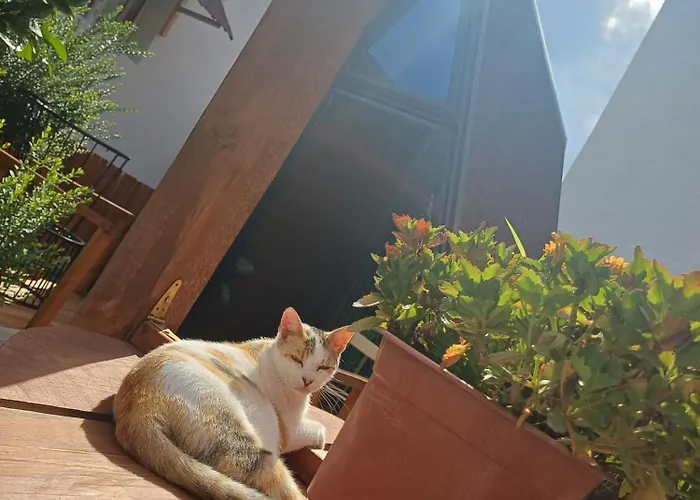 Adilaj Dom wakacyjny